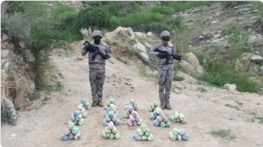 حرس الحدود بجازان يحبط تهريب “80” كجم قات في الدائر