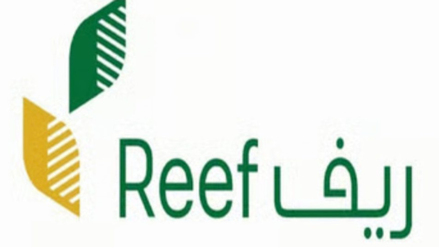 أكثر من 36 مليون ريال يقدّمها “ريف السعودية” لدعم مزارعي المحاصيل البعلية