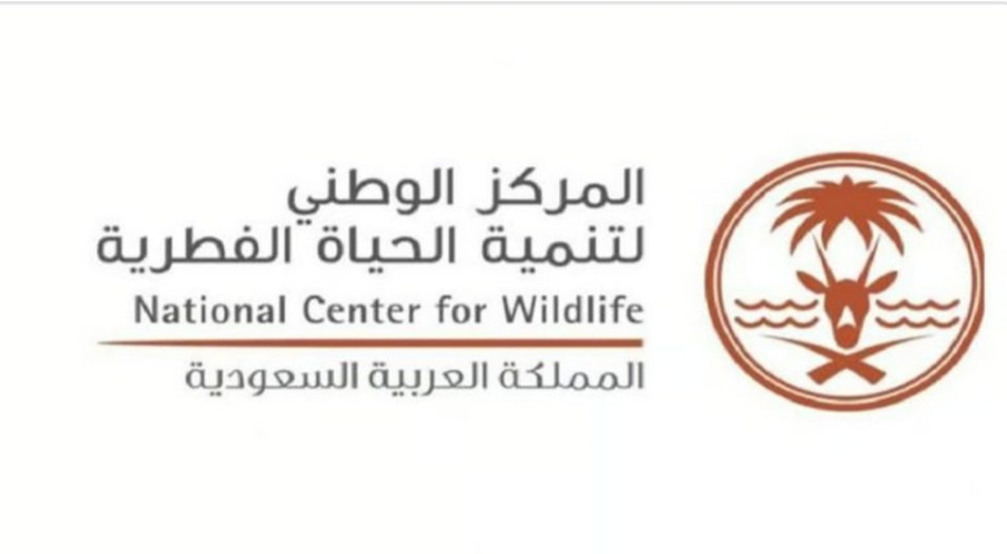 “الحياة الفطرية” يطلق 34 كائنًا فطريًا في محمية الوعول