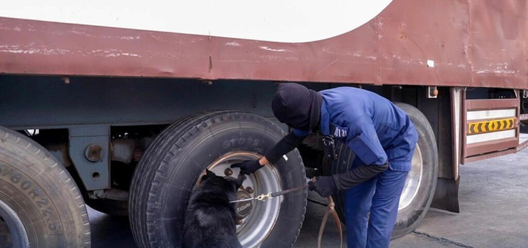 “الزكاة والضريبة والجمارك” تحبط محاولة تهريب أكثر من 1,6 مليون حبة كبتاجون