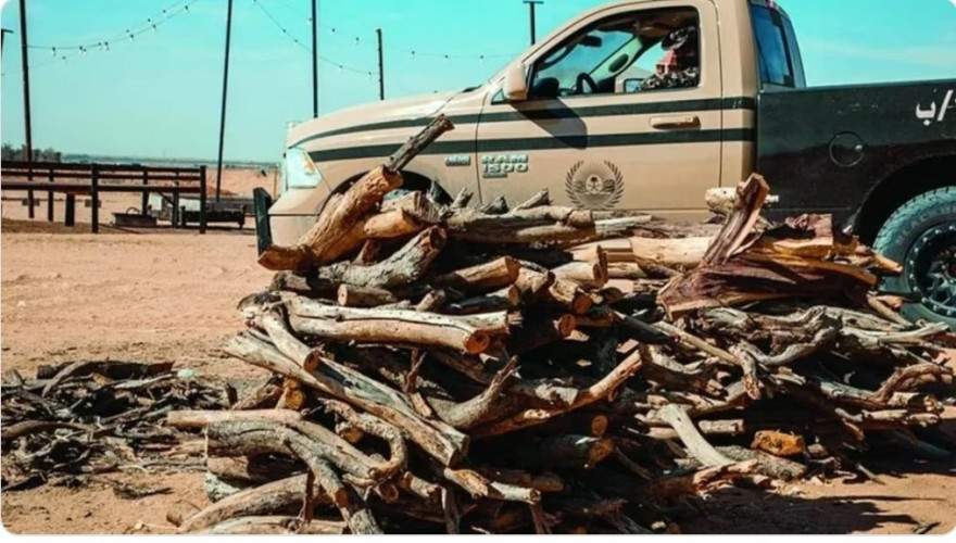 ضبط مواطن لاستخدامه حطبًا محليًا في الأنشطة التجارية بعسير