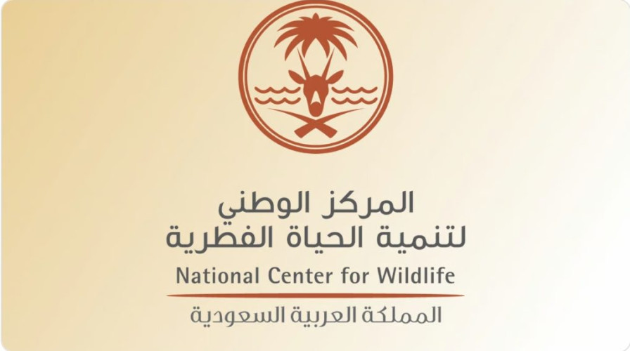 تكريم دولي يُبرز حجم مكانتها.. السعودية تنال جائزة “الريادة للأنواع المهاجرة”