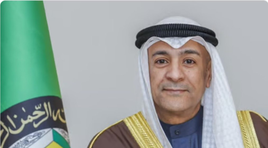 “البديوي”: دول مجلس التعاون أقرّت العديد من القرارات والقوانين والأنظمة الموحدة لحفظ حقوق الإنسان