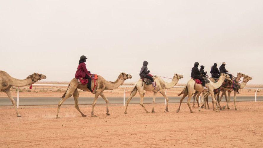 12 هجانة تختتم معسكر الجنادرية