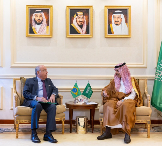 وزير الخارجية يستقبل وزير خارجية البرازيل