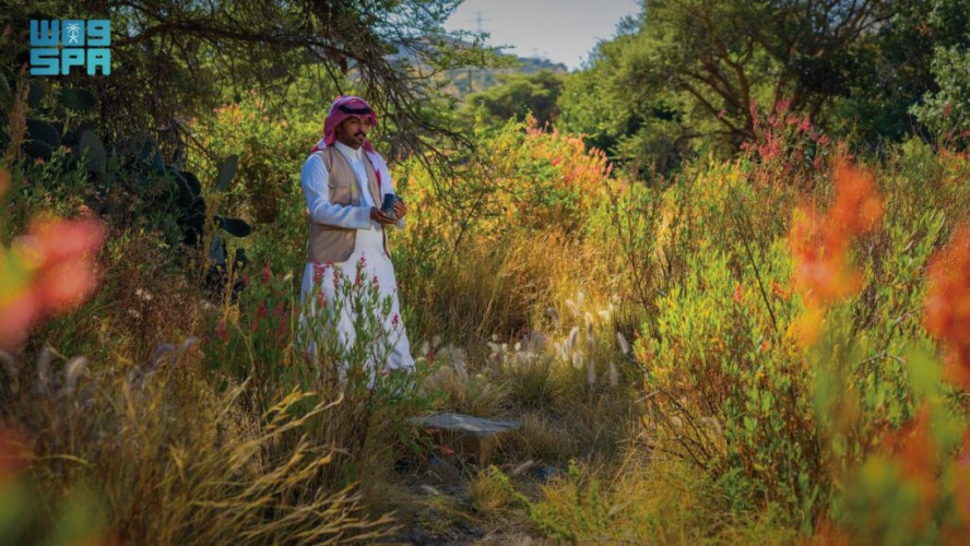 تحديد 27 مارس يوماً لمبادرة السعودية الخضراء بهدف التوعية بجهود العمل البيئي وتعزيز الاستدامة