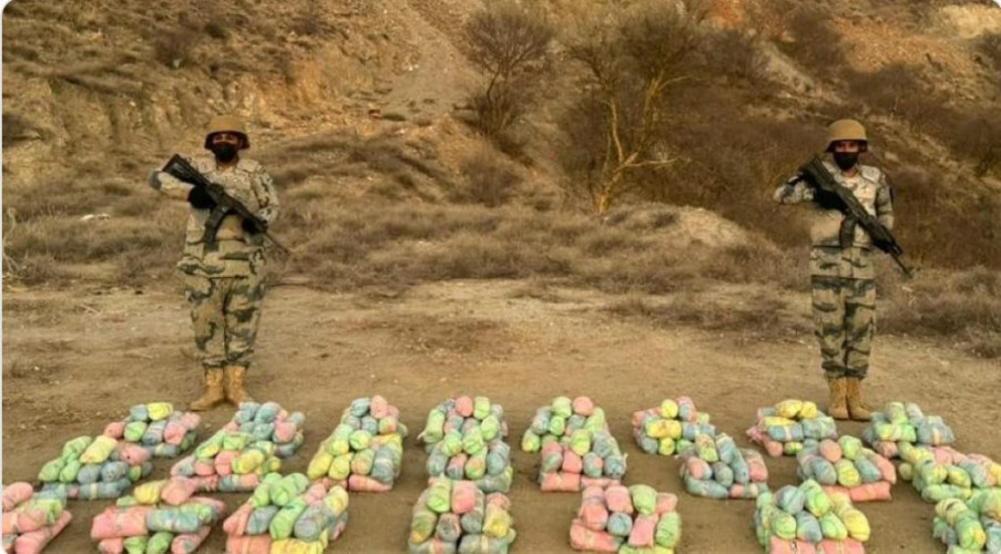 حرس الحدود بعسير يحبط تهريب 200 كجم قات بالربوعة