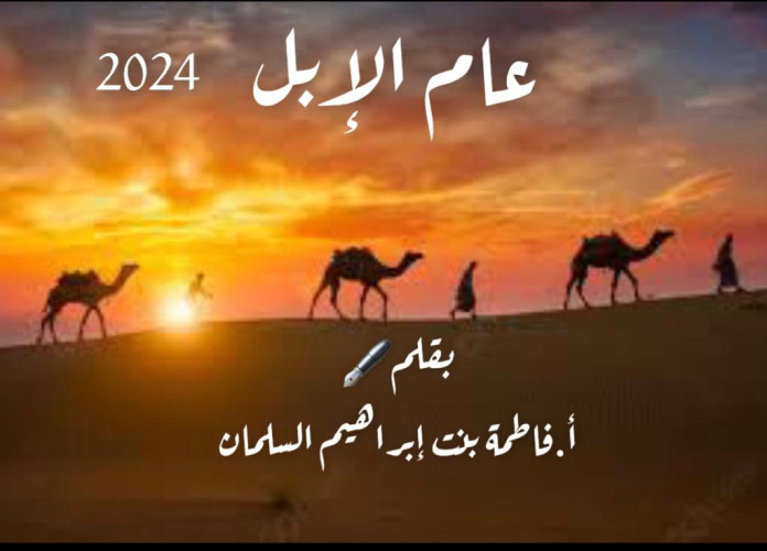 عام الإبل / 2024 م
