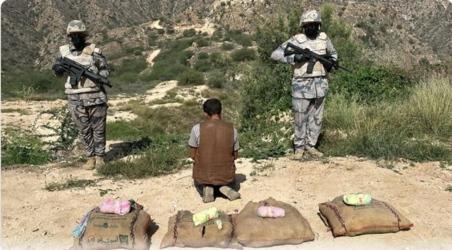 حرس الحدود بجازان يقبض على مخالف حاول تهريب 60 كيلوجرامًا من القات المخدر