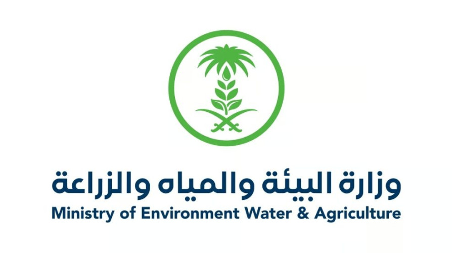 “بيئة الرياض” تتحفظ على 12 طنًا من البيض الفاسد