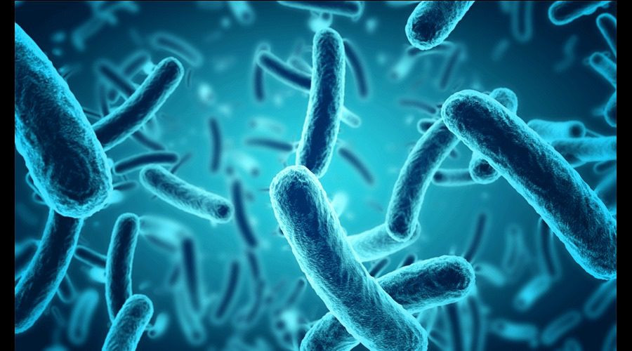 التسمم الغذائي الوشيقي، أعراضه وخطورته