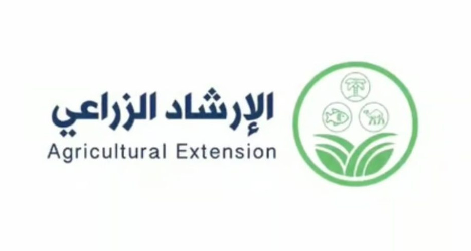 “الإرشاد الزراعي”: نقص هذه العناصر والري بمياه عالية الملوحة يسبّبان تساقط أزهار الرمان وثماره