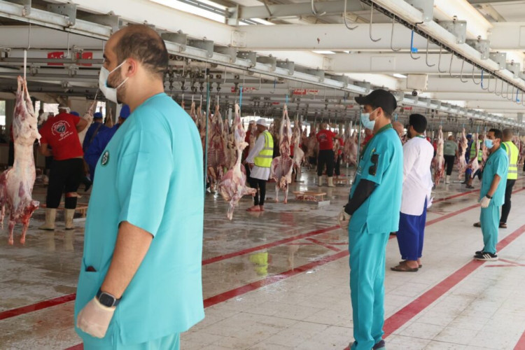 وقاء يفسح أكثر من مليون رأس مواشي للدخول إلى العاصمة المقدسة