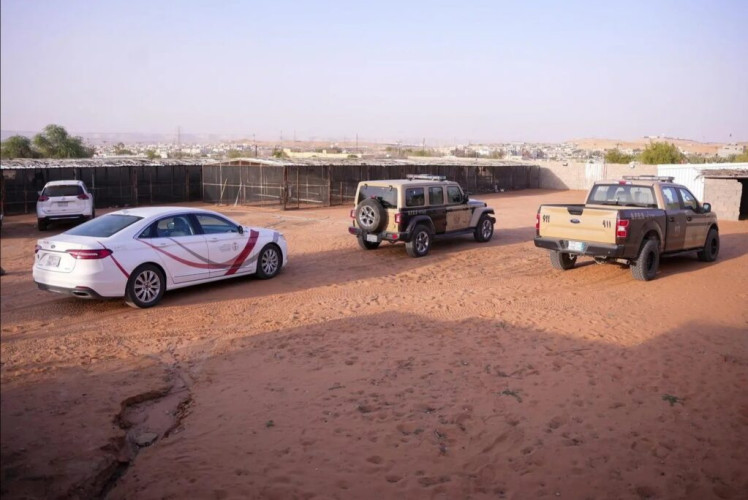 القوات الخاصة للأمن البيئي تضبط(4)مخالفين لنظام البيئة لاقتنائهم وعرضهم كائنات فطرية بمنطقة الرياض