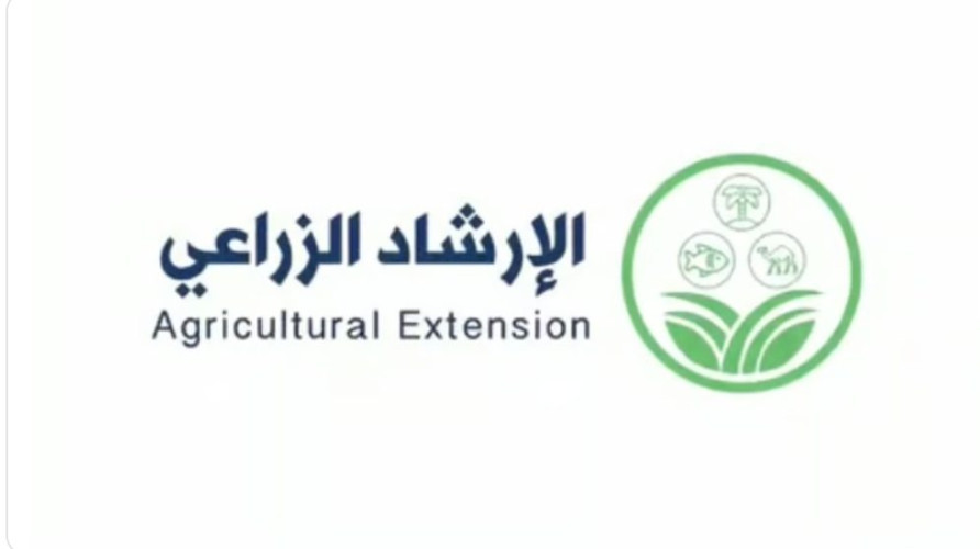 “الإرشاد الزراعي”: “تبقع الأوراق السبتوري” مرض فطري يصيب أوراق وأزهار وثمار الطماطم