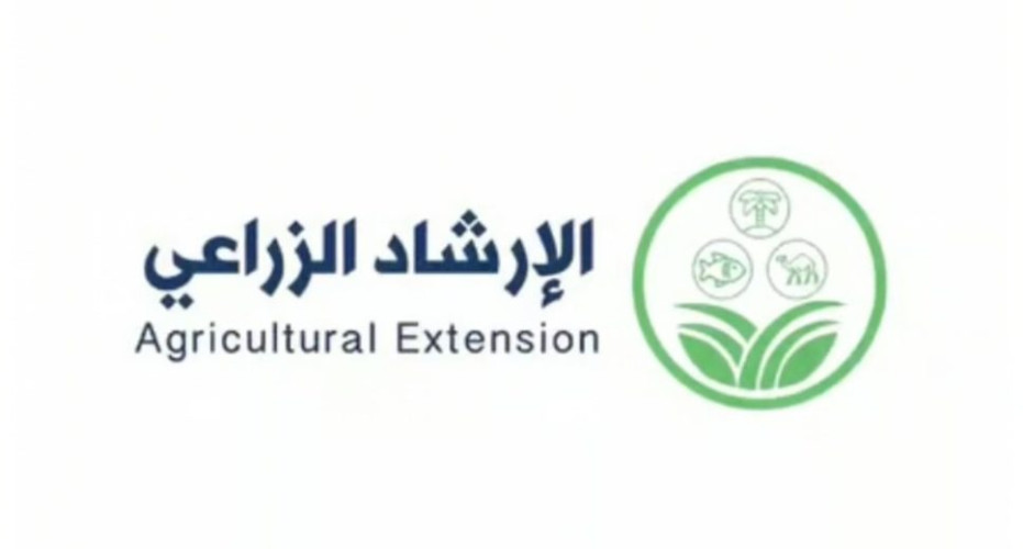 “الإرشاد الزراعي” ينصح بتجنب تقديم الأعلاف الملوثة أو الفاسدة للأغنام