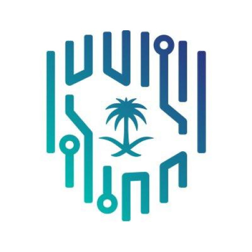 الهيئة الوطنية للأمن السيبراني: التأثير على الجهات الوطنية في المملكة يعد محدودًا