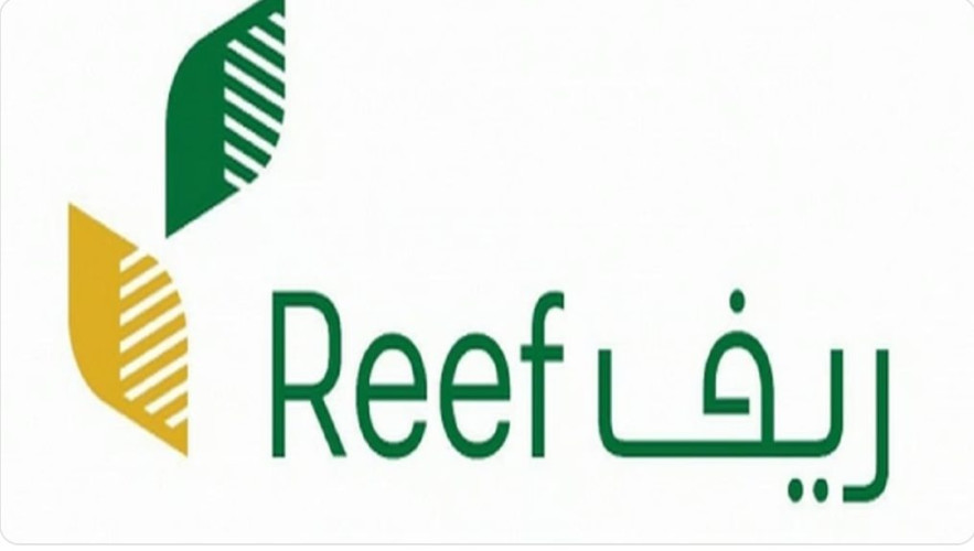 “ريف السعودية”: أكثر من 3 آلاف مزارع في قطاع المحاصيل البعلية استفادوا من الدعم