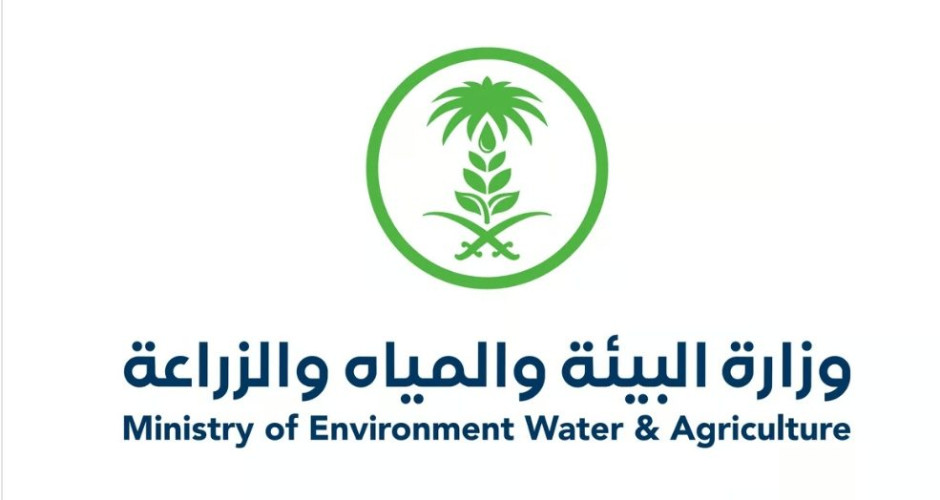 خلال أغسطس الجاري.. أسواق المملكة تستقبل 11 نوعًا من الفاكهة المحلية الطازجة