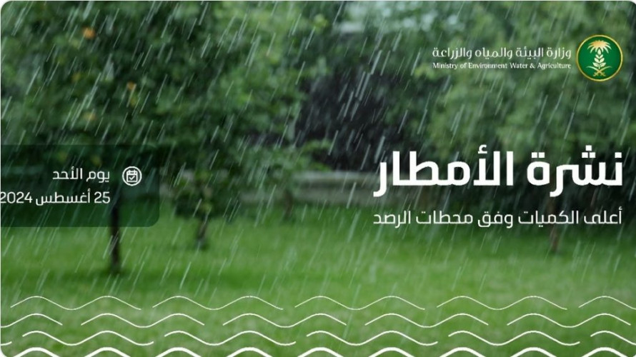 45 محطة ترصد هطول أمطار في 7 مناطق آخر 24 ساعة.. ومكة المكرمة تسجّل أعلى كمية