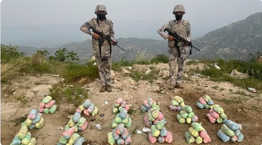 حرس الحدود بعسير يحبط تهريب 160 كيلوجرامًا من نبات القات المخدر