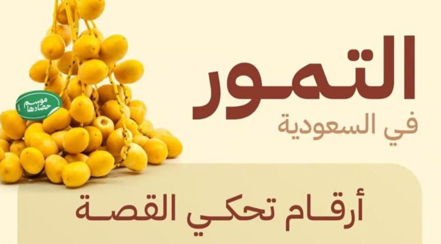 “البيئة”: السعودية تعزز ريادتها في إنتاج التمور بأكثر من 1.6 مليون طن
