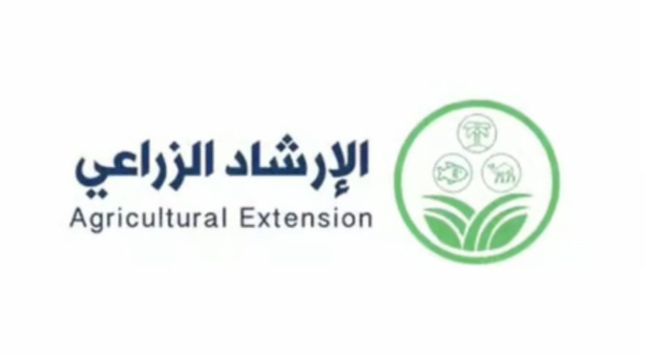 تستمرّ حتى أواخر أكتوبر.. “مواعيد زراعة الثوم ونصائح” من “الإرشاد الزراعي”