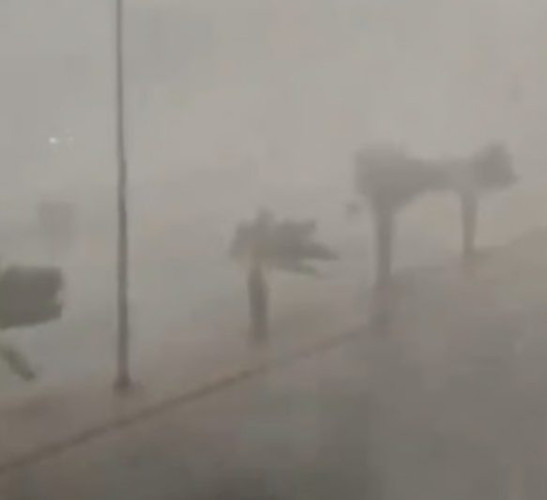 “متحدث الأرصاد”: المدينة المنورة سجلت أمس سرعة رياح بلغت 100 كم/س