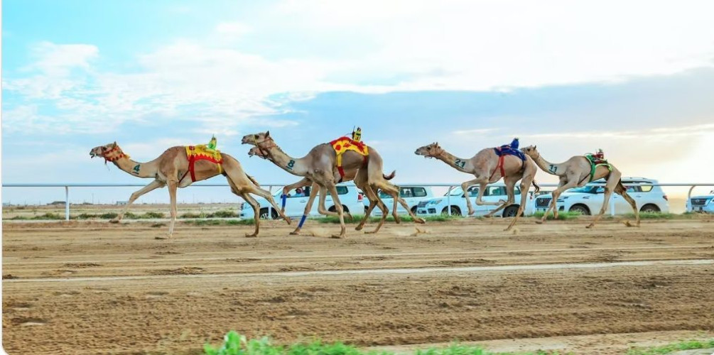 السعوديون يسيطرون على كؤوس مهرجان ولي العهد