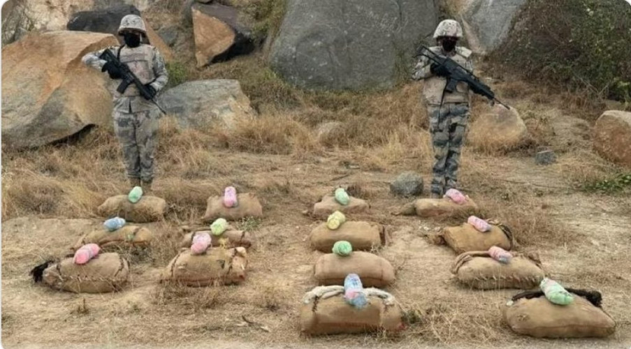 حرس الحدود بعسير يحبط تهريب 432 كيلوجرامًا من نبات القات المخدر