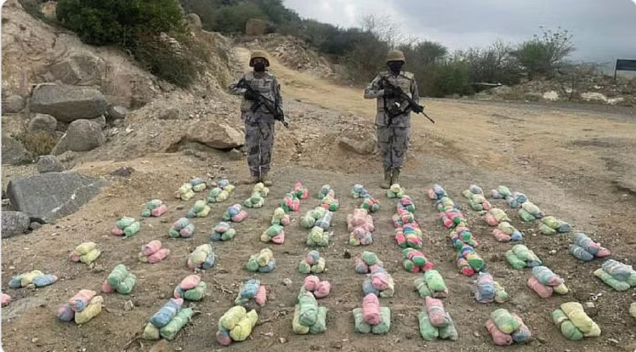 عسير.. حرس الحدود يحبط تهريب 120 كيلوجرامًا من نبات القات المخدر