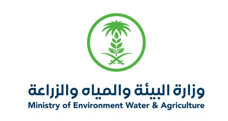 رقم قياسي.. السعودية تنتج 558 مليون كجم من لحوم الدواجن في النصف الأول 2024م