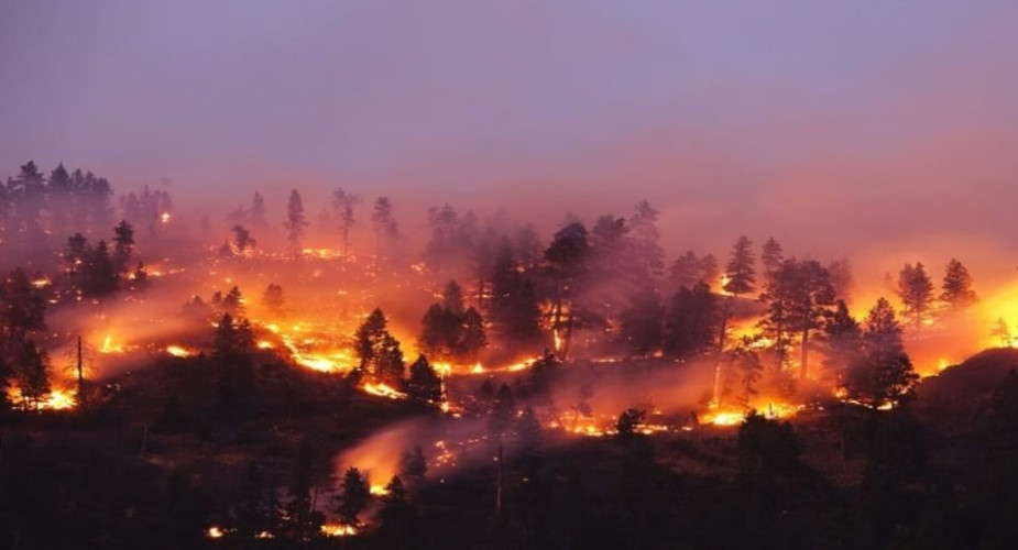 السلطات الأمريكية تجلي أكثر من 5 آلاف شخص بكاليفورنيا بسبب حرائق الغابات