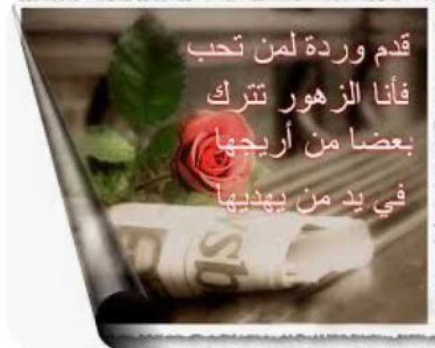 🌷 وبها تصفو الحياة