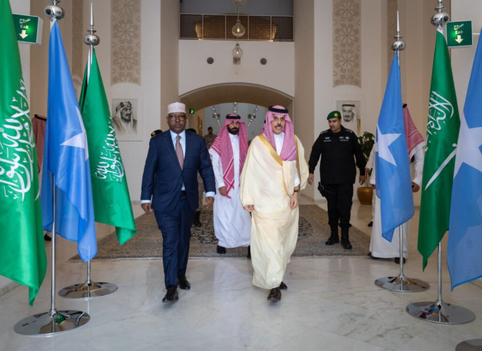 وزير الخارجية يستقبل وزير خارجية الصومال