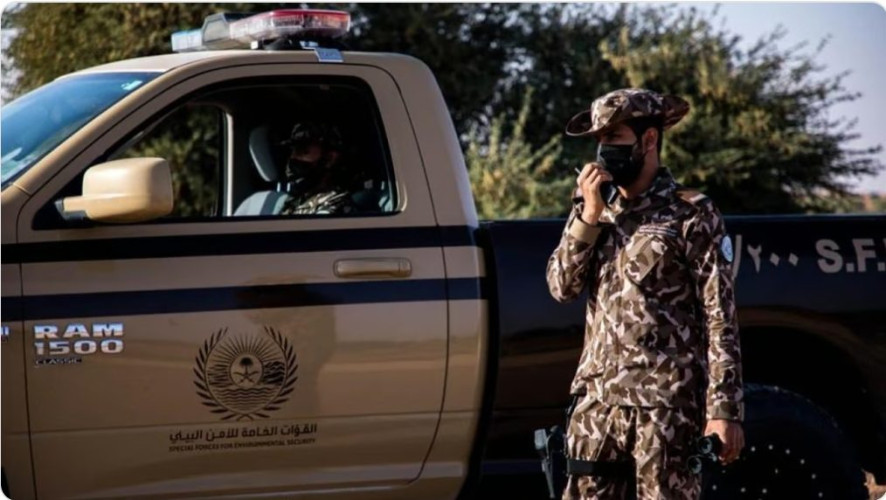 “صيد واستغلال رواسب وإشعال نيران”.. ضبط 24 مخالفًا لنظام البيئة خلال أسبوع