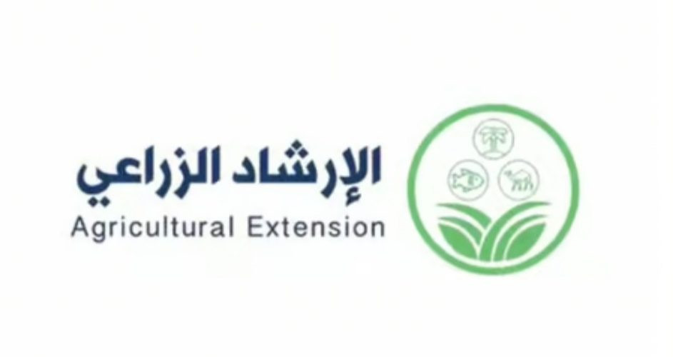 تعزّز نشاطها خلال النهار.. “الإرشاد الزراعي” ينصح بتقديم المكعبات الغذائية للإبل في الصباح