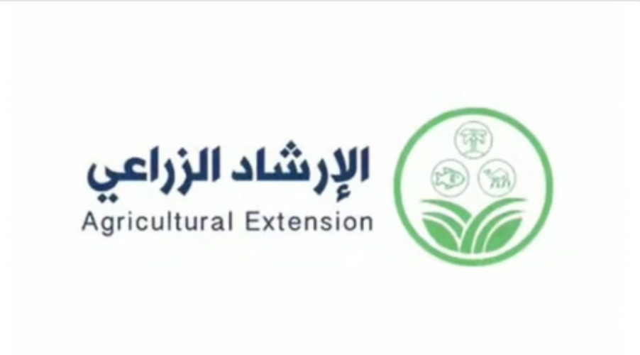 “الإرشاد الزراعي”: الترقيم الإلكتروني للإبل يُسهِم في تحسين السلالات ونجاح مشاريع التربية