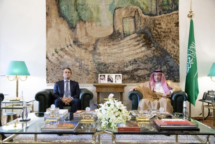 نائب وزير الخارجية يستقبل مبعوث وزارة الخارجية الألمانية لشؤون القرن الأفريقي