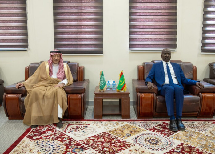 نائب وزير الخارجية يلتقي وزير خارجية موريتانيا