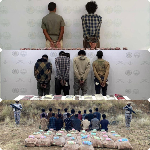 حرس الحدود يحبط محاولة تهريب(1.3)طن من مادة الحشيش المخدر و(1.3)مليون قرص خاضع لتنظيم التداول الطبي