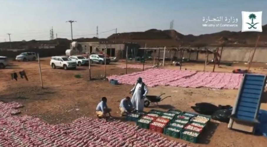 “التجارة” تضبط مستودعاً استغلته عمالة مخالفة بتخزين مواد غذائية منتهية الصلاحية