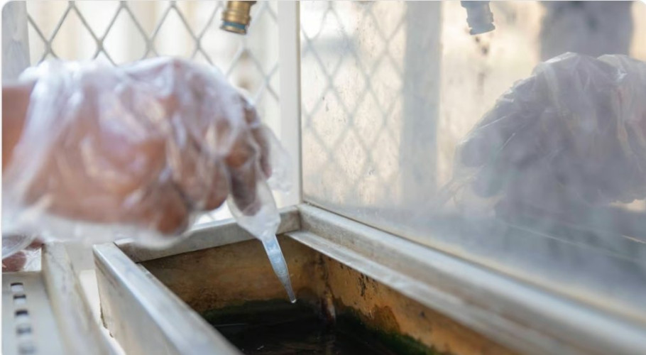 “أمانة الطائف” تستقصي 155 موقعاً لمنع التكاثر الحشري بالأحياء والضواحي والمزارع