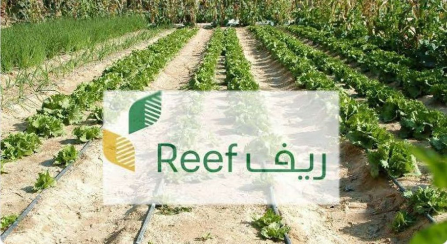 “ريف السعودية” يقدّم 2.4 مليار ريال للمستفيدين منذ إطلاقه