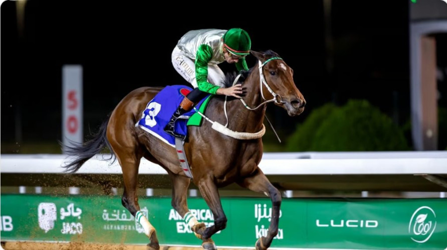 إقامة أربعة كؤوس في الأسبوع الـ14 من موسم سباقات الرياض للخيل
