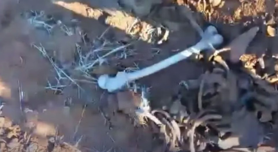 عظام وبقايا ملابس تعود لأكثر من 10 سنوات.. العثور على مقبرة جماعية بسوريا