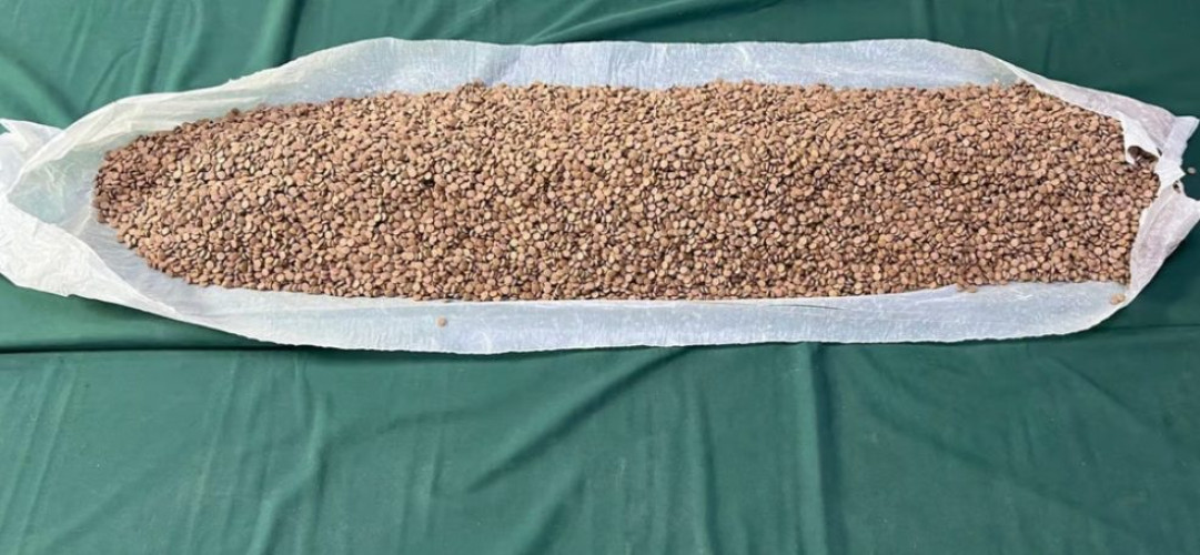 “مكافحة المخدرات” تحبط ترويج “إمفيتامين” بالباحة وتمنع تهريب “حشيش” بجدة