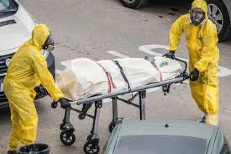 تسجيل أول حالة وفاة بشرية بسبب إنفلونزا الطيور في الولايات المتحدة