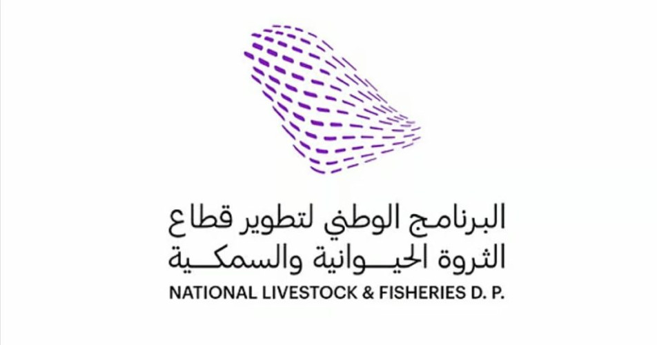 فرص استثمارية واعدة.. برنامج تطوير الثروة الحيوانية والسمكية يستعرض أهمية قطاع الإبل