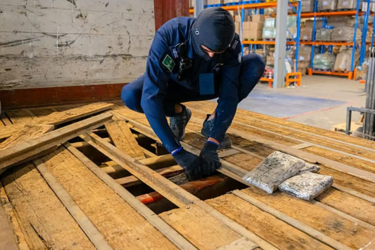 عبر منفذ الوديعة.. ضبط محاولة تهريب أكثر من 17 ألف حبة كبتاجون و4 كيلوجرامات حشيش